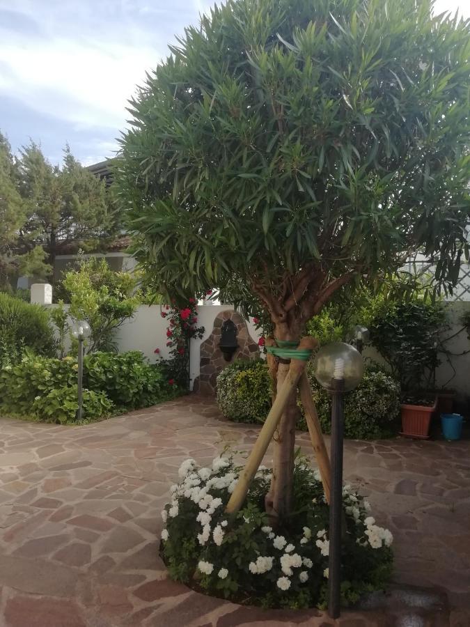 Casa Vacanze Villa Rosa كالا غونوني المظهر الخارجي الصورة