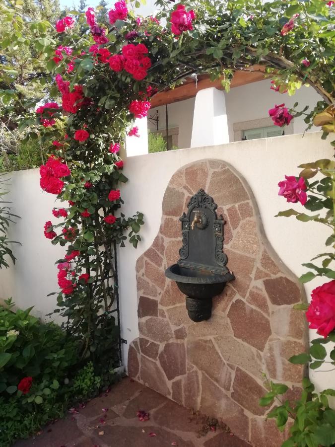 Casa Vacanze Villa Rosa كالا غونوني المظهر الخارجي الصورة