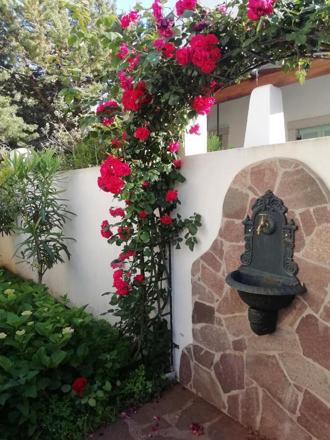 Casa Vacanze Villa Rosa كالا غونوني المظهر الخارجي الصورة