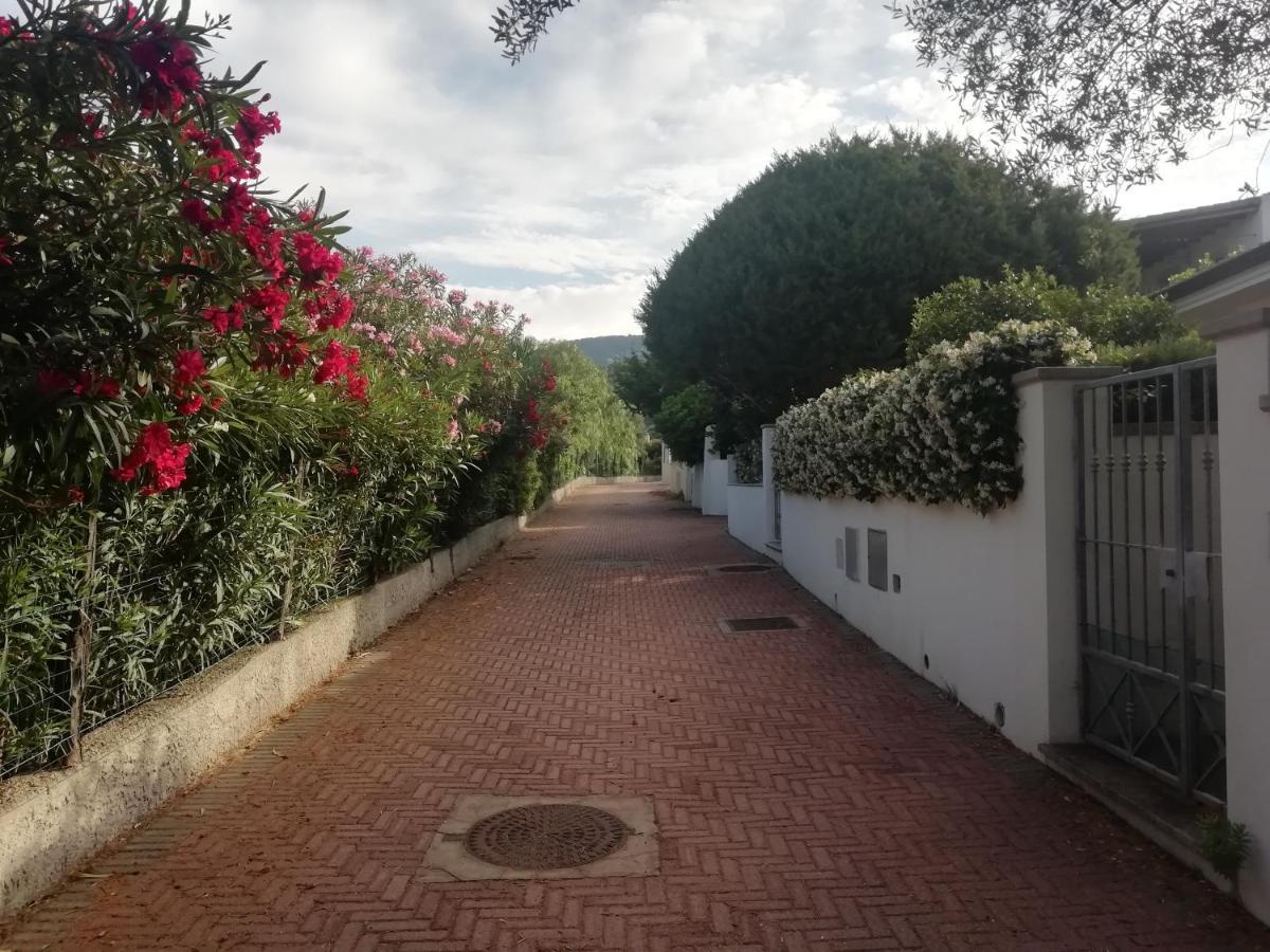 Casa Vacanze Villa Rosa كالا غونوني المظهر الخارجي الصورة