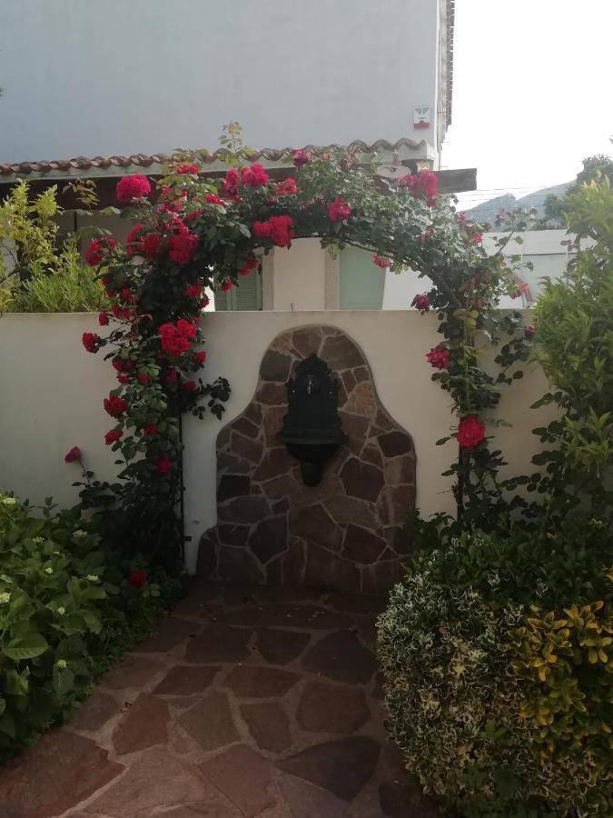 Casa Vacanze Villa Rosa كالا غونوني المظهر الخارجي الصورة