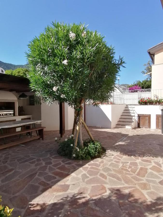 Casa Vacanze Villa Rosa كالا غونوني المظهر الخارجي الصورة